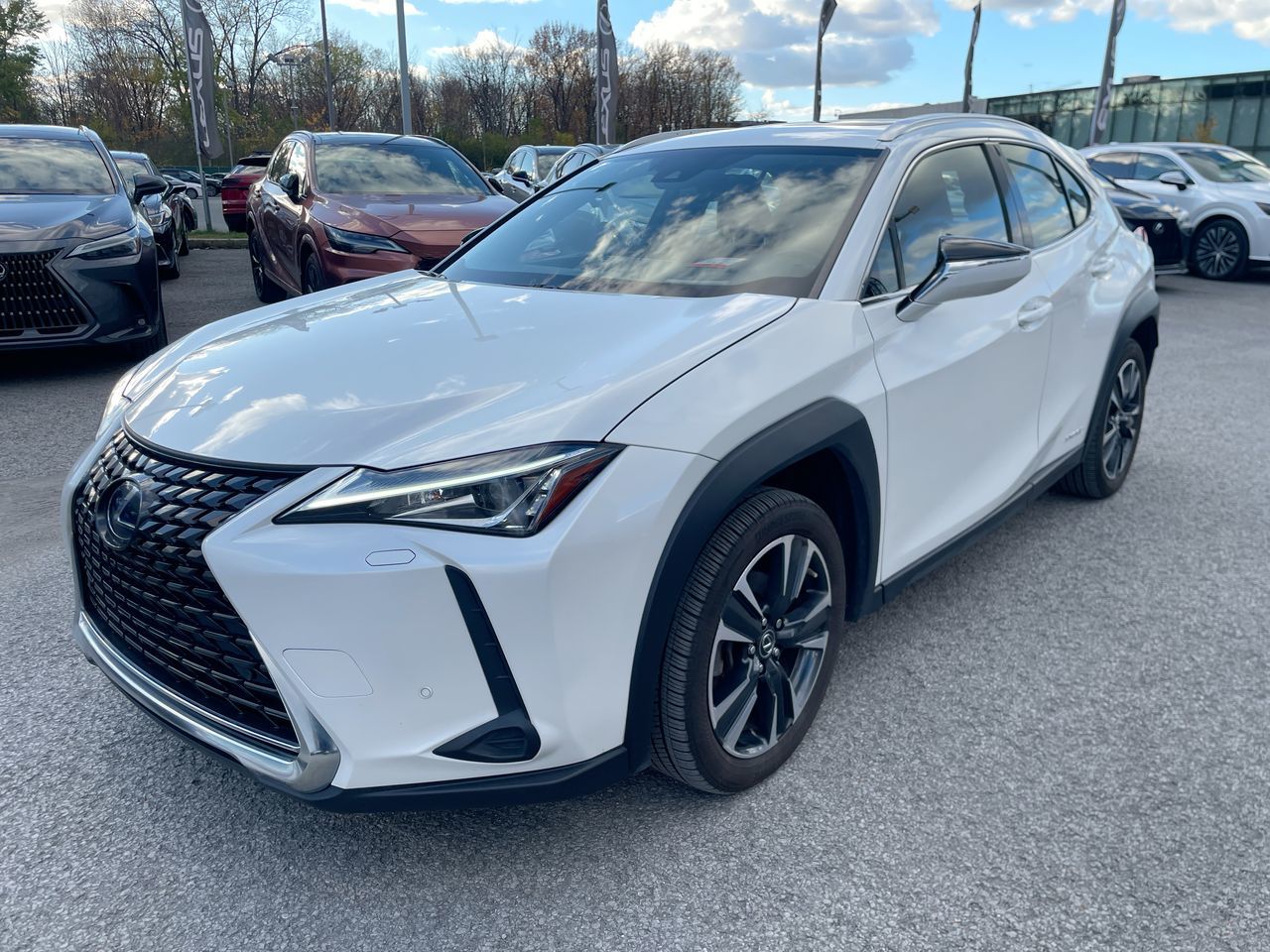 Lexus UX 250h  2021