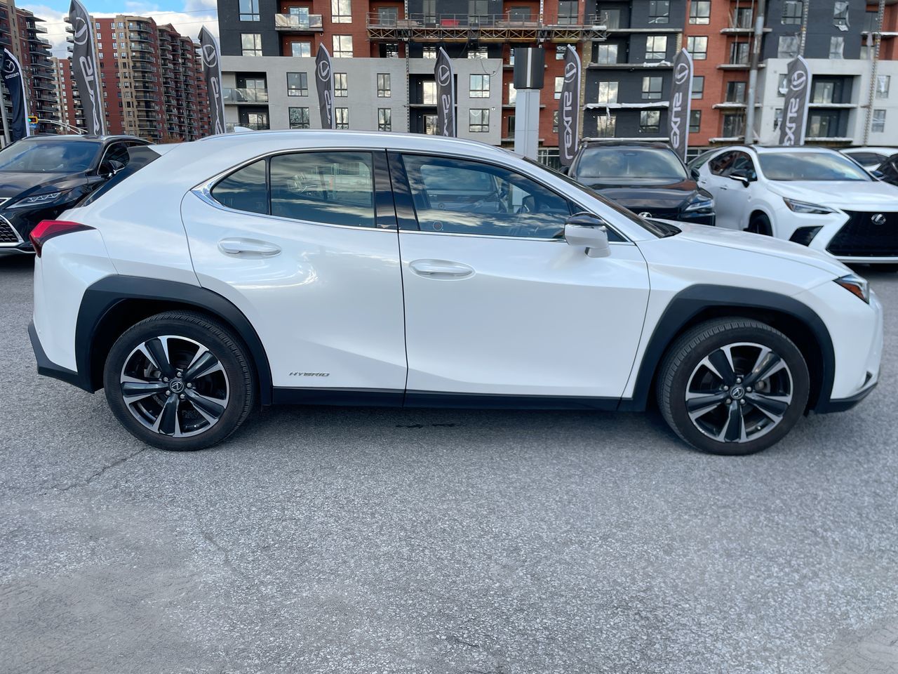 Lexus UX 250h  2021