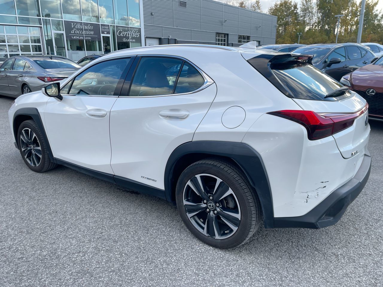 Lexus UX 250h  2021