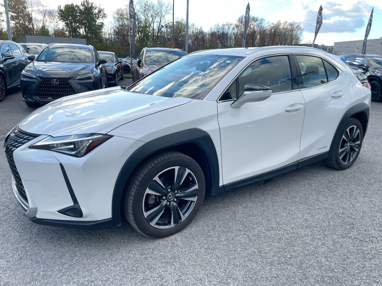 Lexus UX 250h  2021