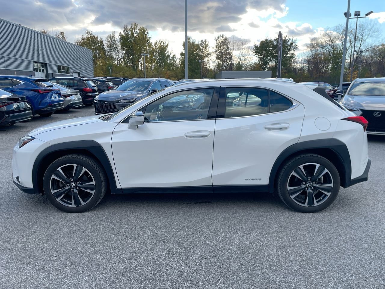 Lexus UX 250h  2021