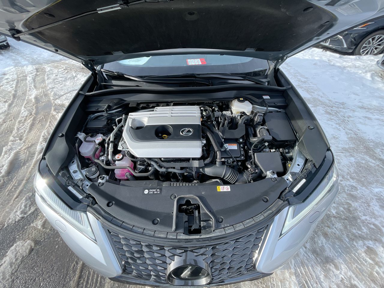 Lexus UX 250h  2023