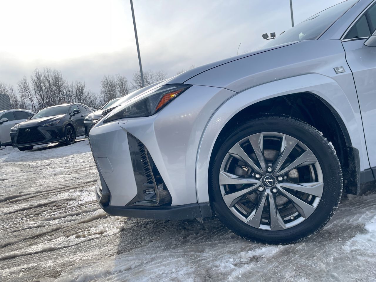 Lexus UX 250h  2023