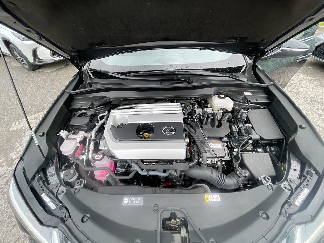 2024 Lexus UX 250h in Laval, Quebec
