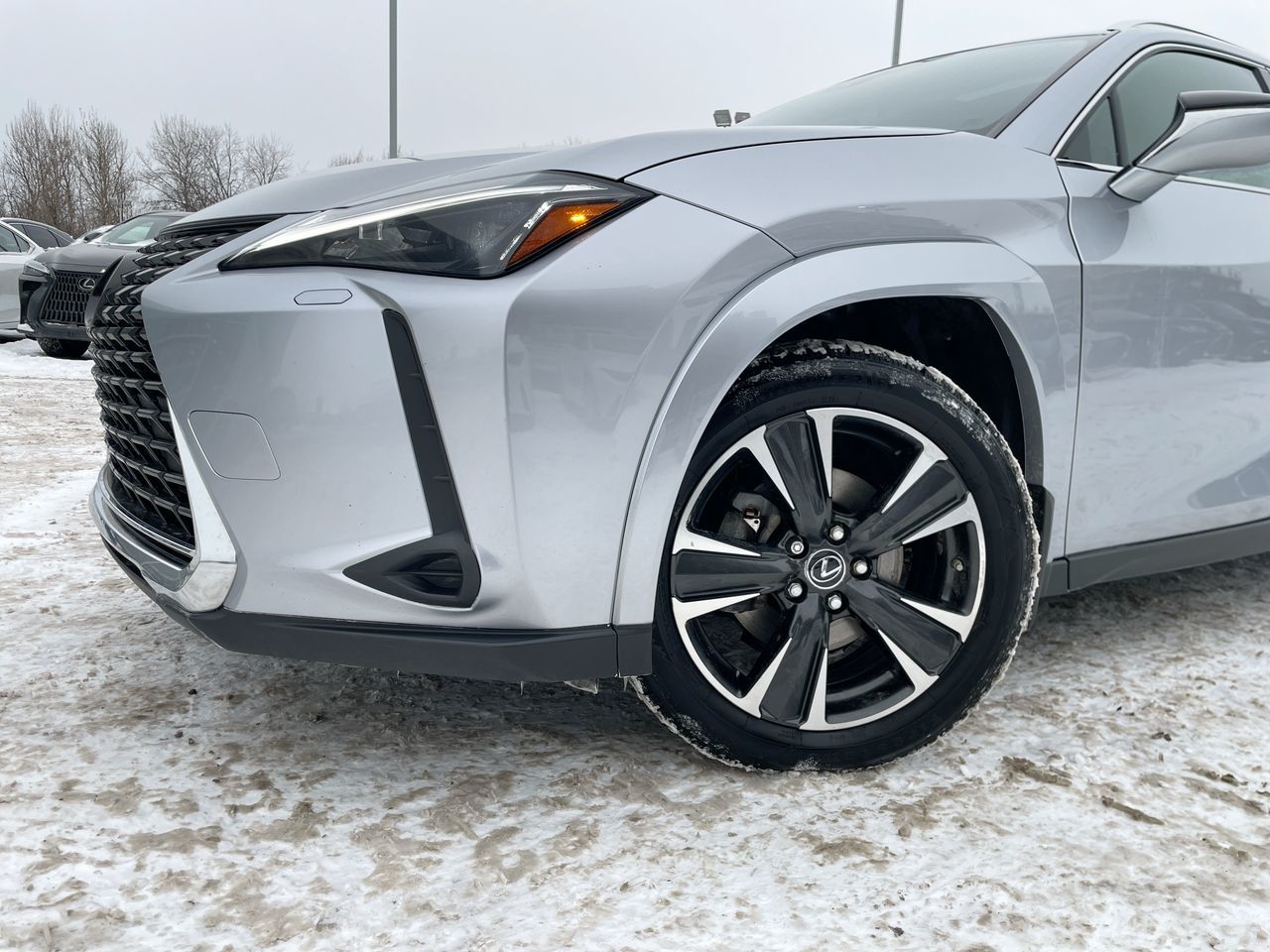 Lexus UX 250h  2024