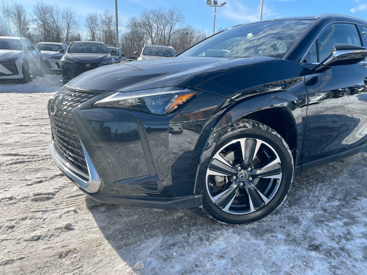 Lexus UX 250h  2024
