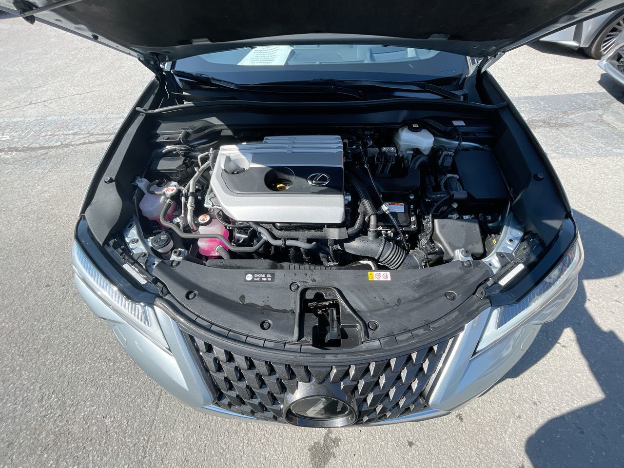 Lexus UX 250h  2024