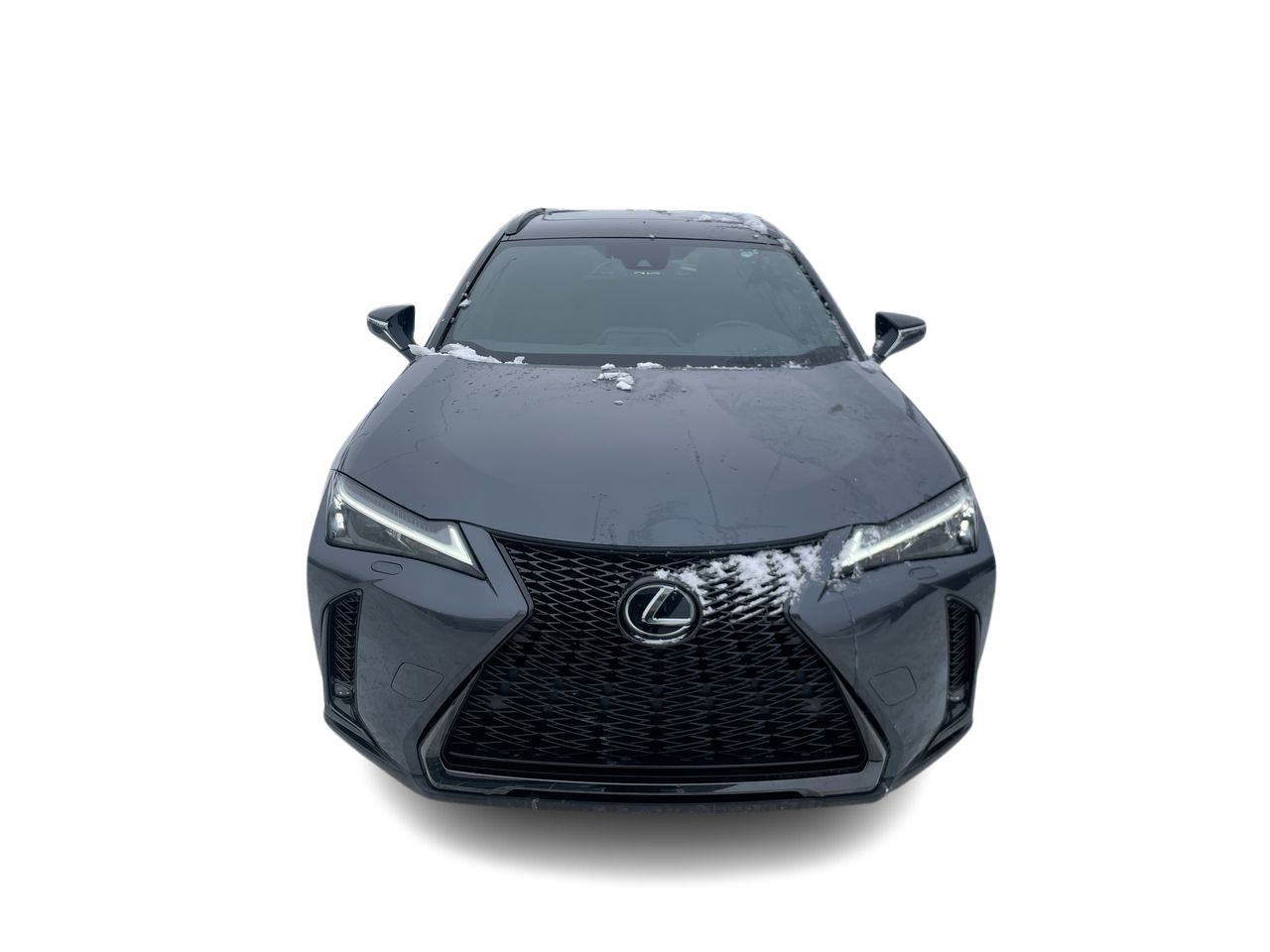2024 Lexus UX