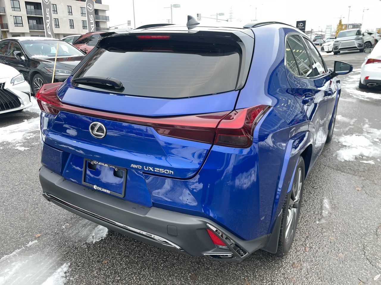 2024 Lexus UX