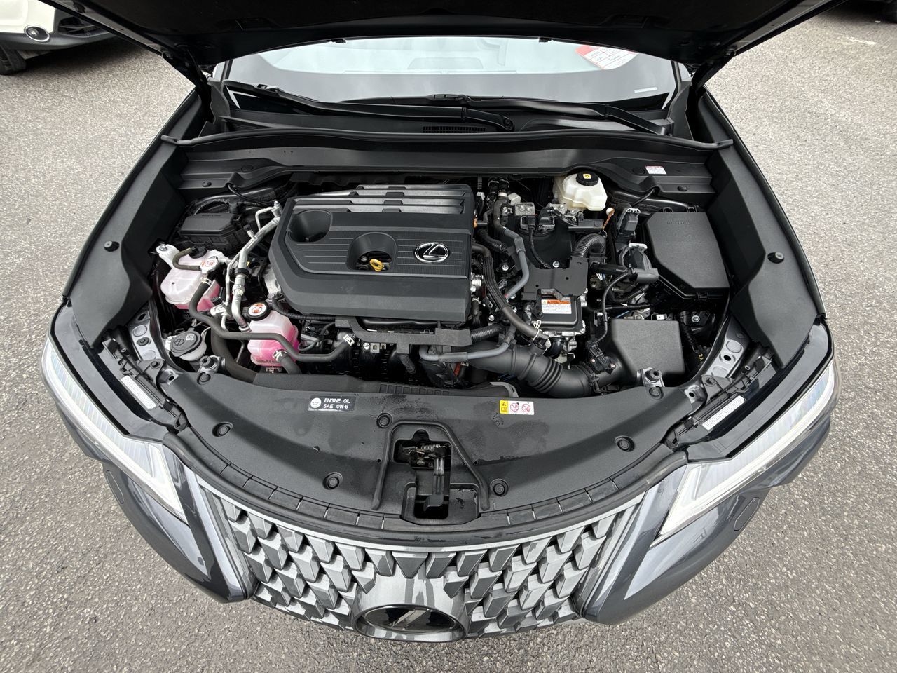 2025 Lexus UX