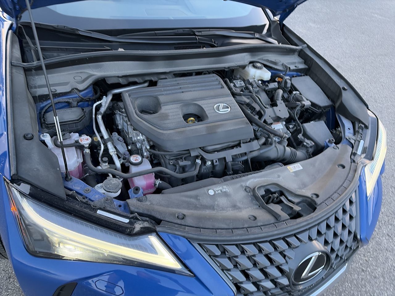 Lexus UX  2025