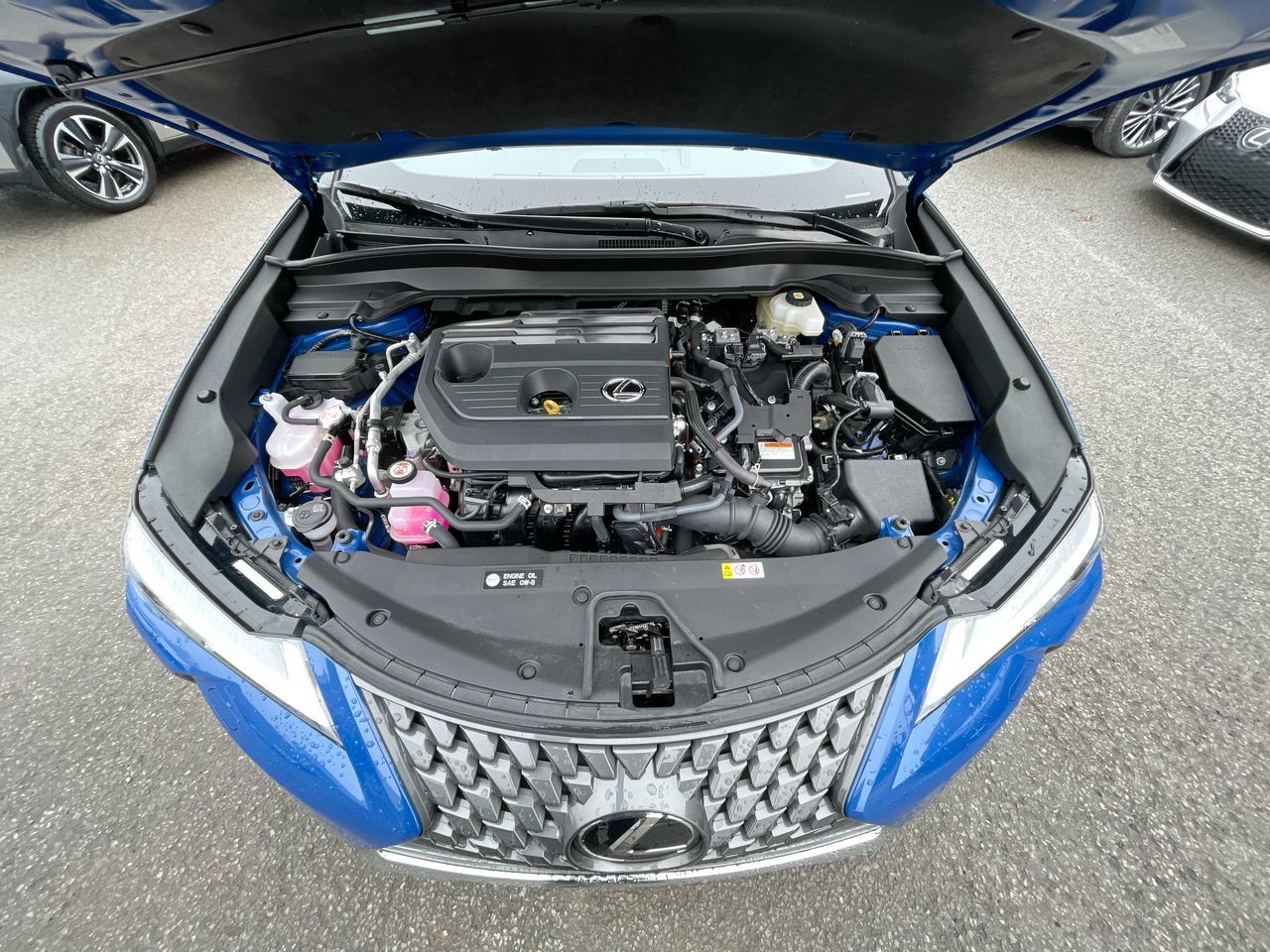 Lexus UXH  2025