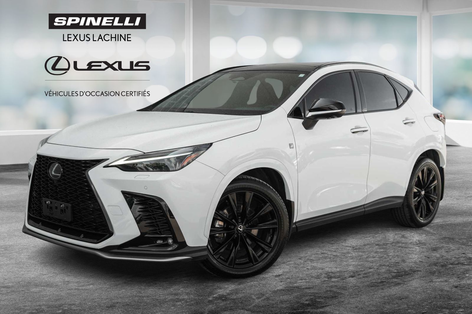 2024 Lexus NX 350 DEMO F SPORT 3 MARK LEVINSON CUIR ROUGE TOIT