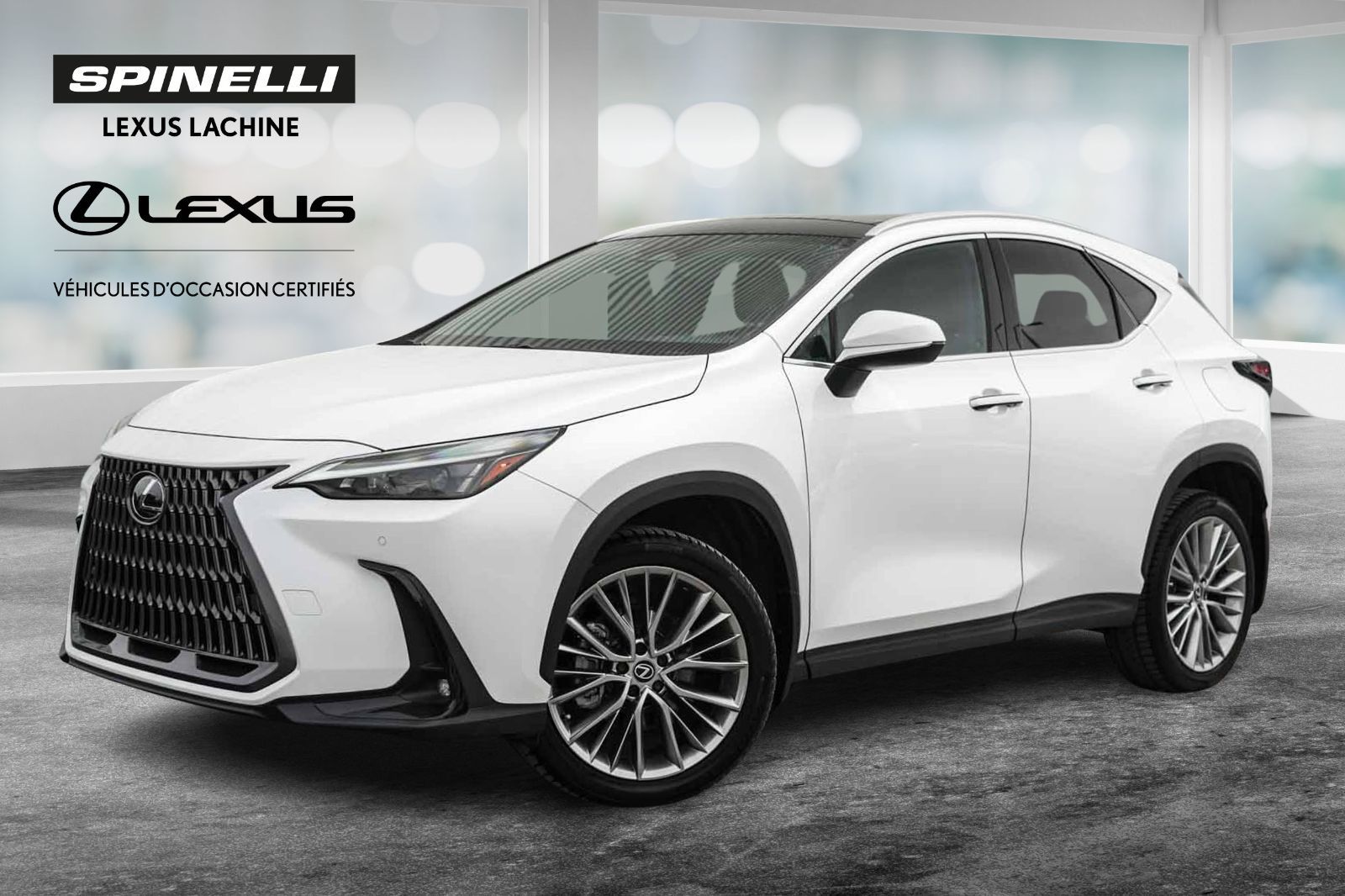 2024 Lexus NX 350h LUXURY AWD CUIR ROUGE TOIT PANO CARPLAY NAVI