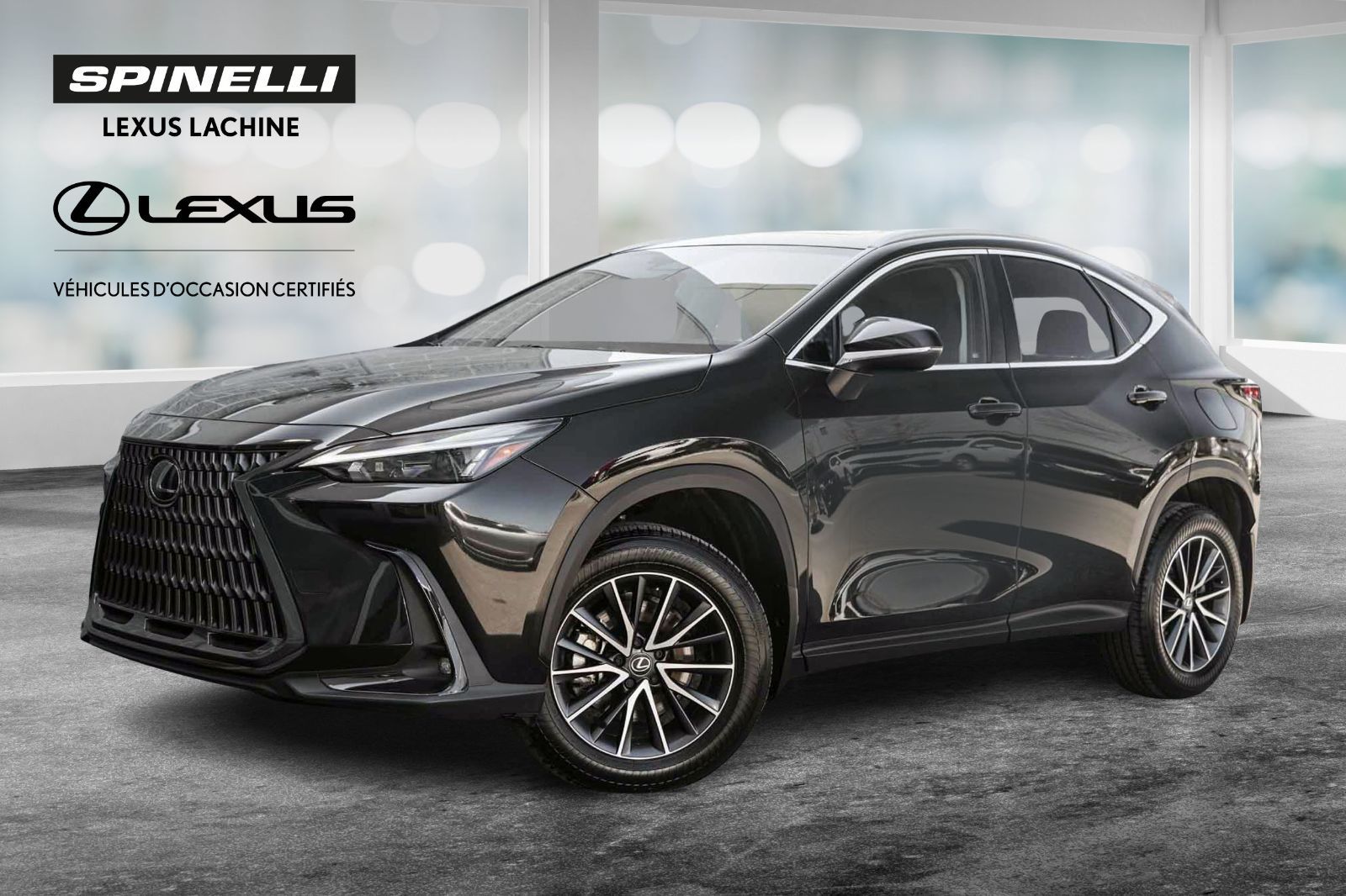 2025 Lexus NX 350h PREMIUM AWD BAS KM CUIR CARPLAY