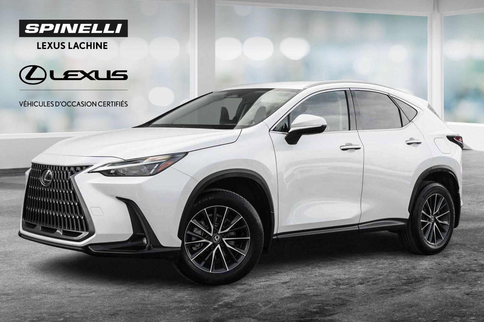 2024 Lexus NX 250 SIGNATURE AWD BAS KM CARPLAY