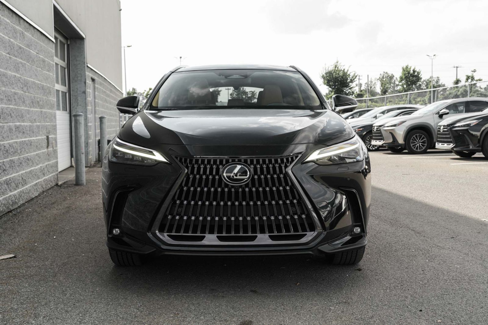 Lexus NX 350 EXECUTIVE AWD MARK LEVINSON LOW KM TOIT PANO 2024 — photo 3
