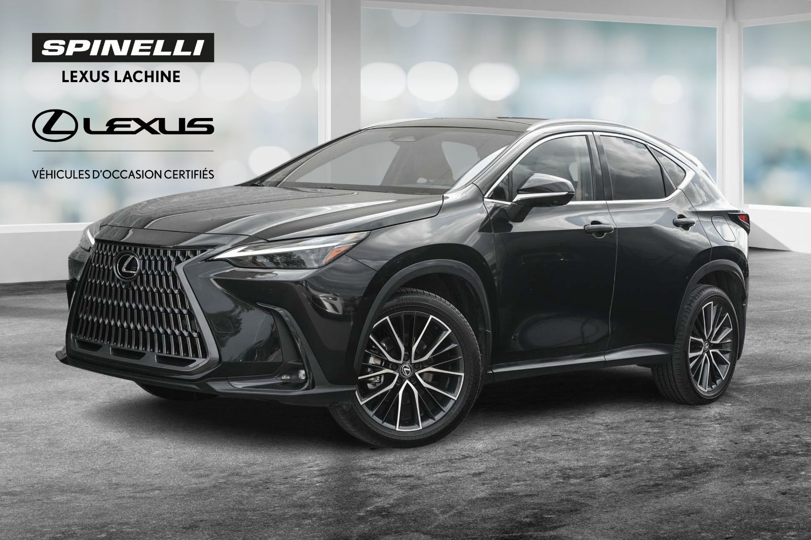 Lexus NX 350 EXECUTIVE AWD MARK LEVINSON LOW KM TOIT PANO 2024