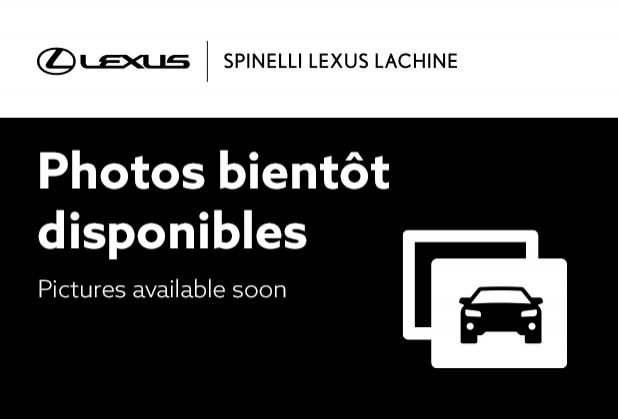 Lexus RX 350 AWD LUXURY TOIT PANO CUIR CARPLAY NAVI 2024