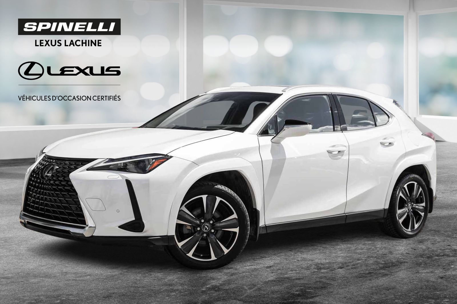 2024 Lexus UX 250h LUXURY AWD BAS KM CUIR TOIT NAVI HUD