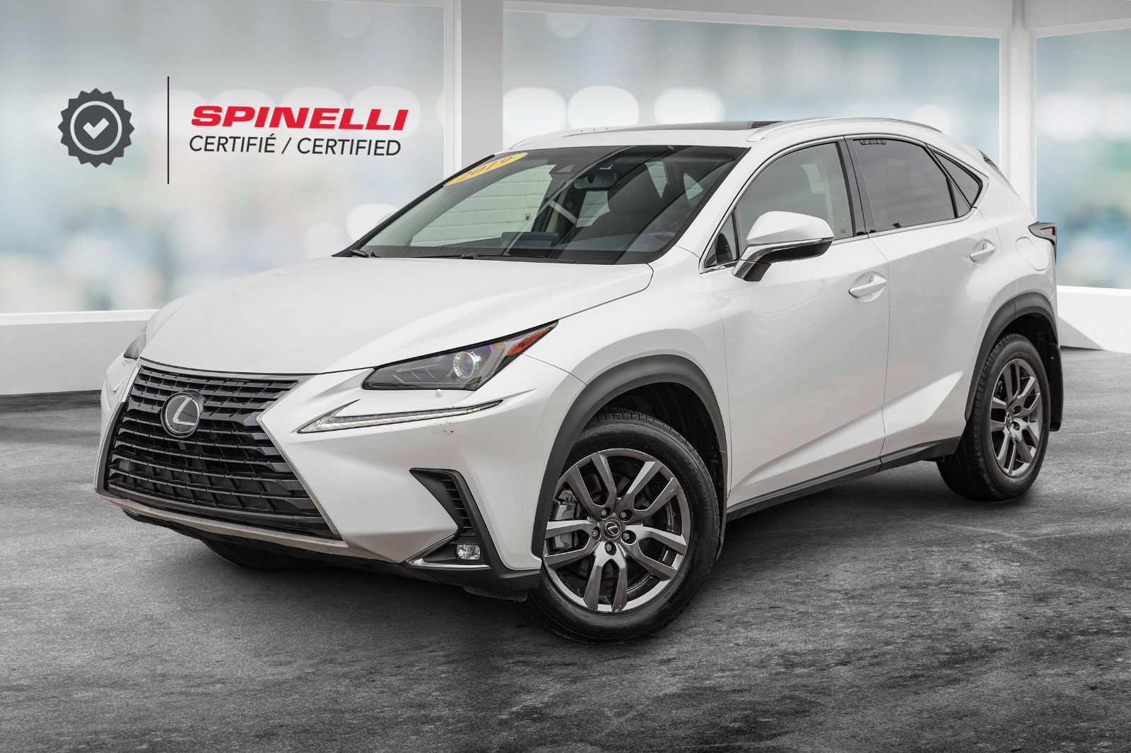 2019 Lexus NX **PREMIUM AWD**