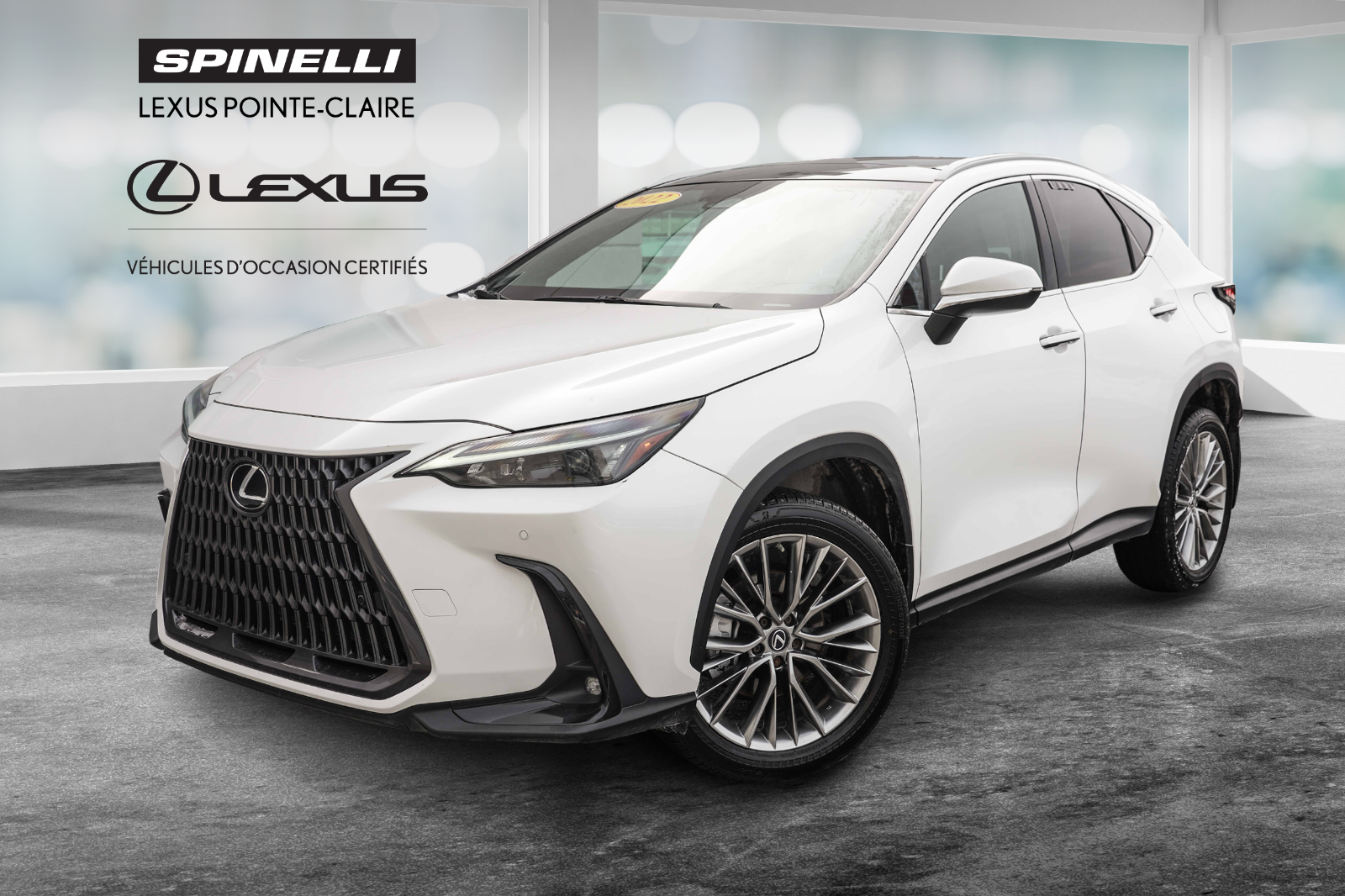 2022 Lexus NX **LUXURY AWD**