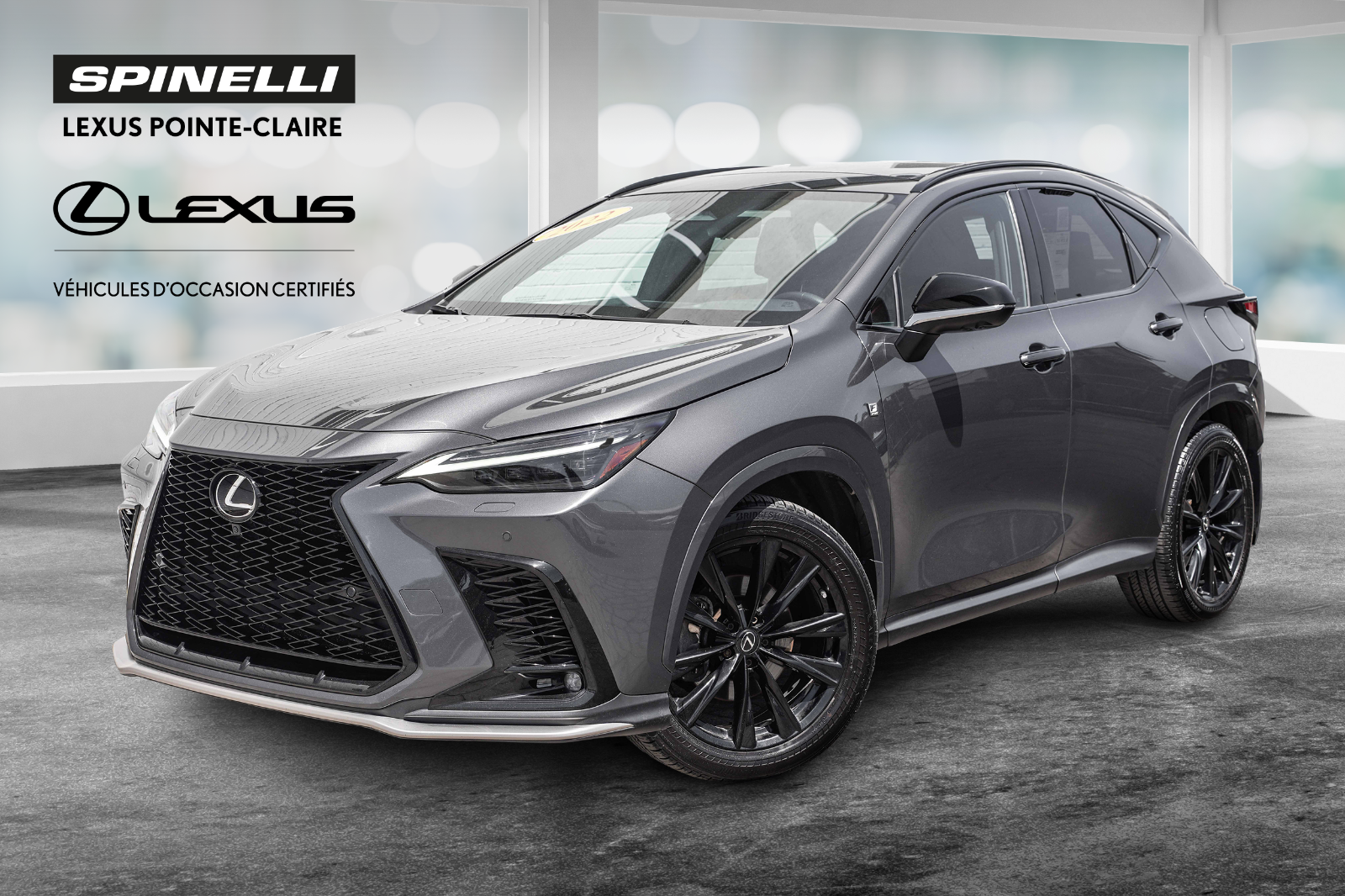 2022 Lexus NX **F SPORT3 AWD**