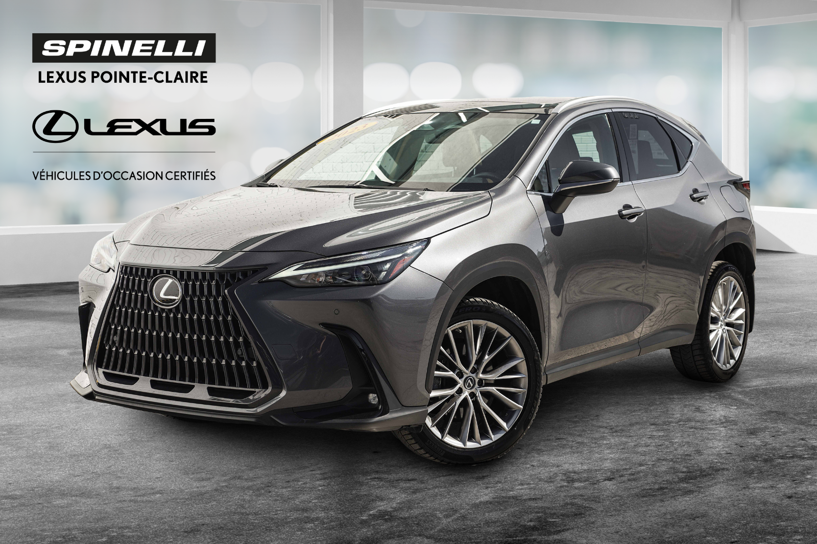 2023 Lexus NX **LUXURY PACKAGE**