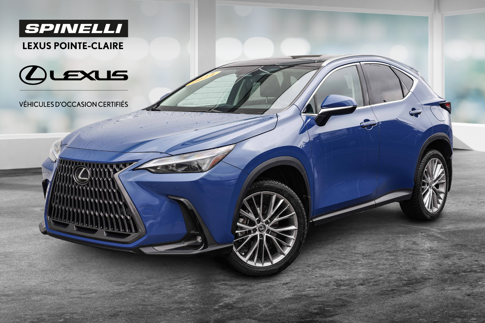 2024 Lexus NX **LUXURY PACKAGE**