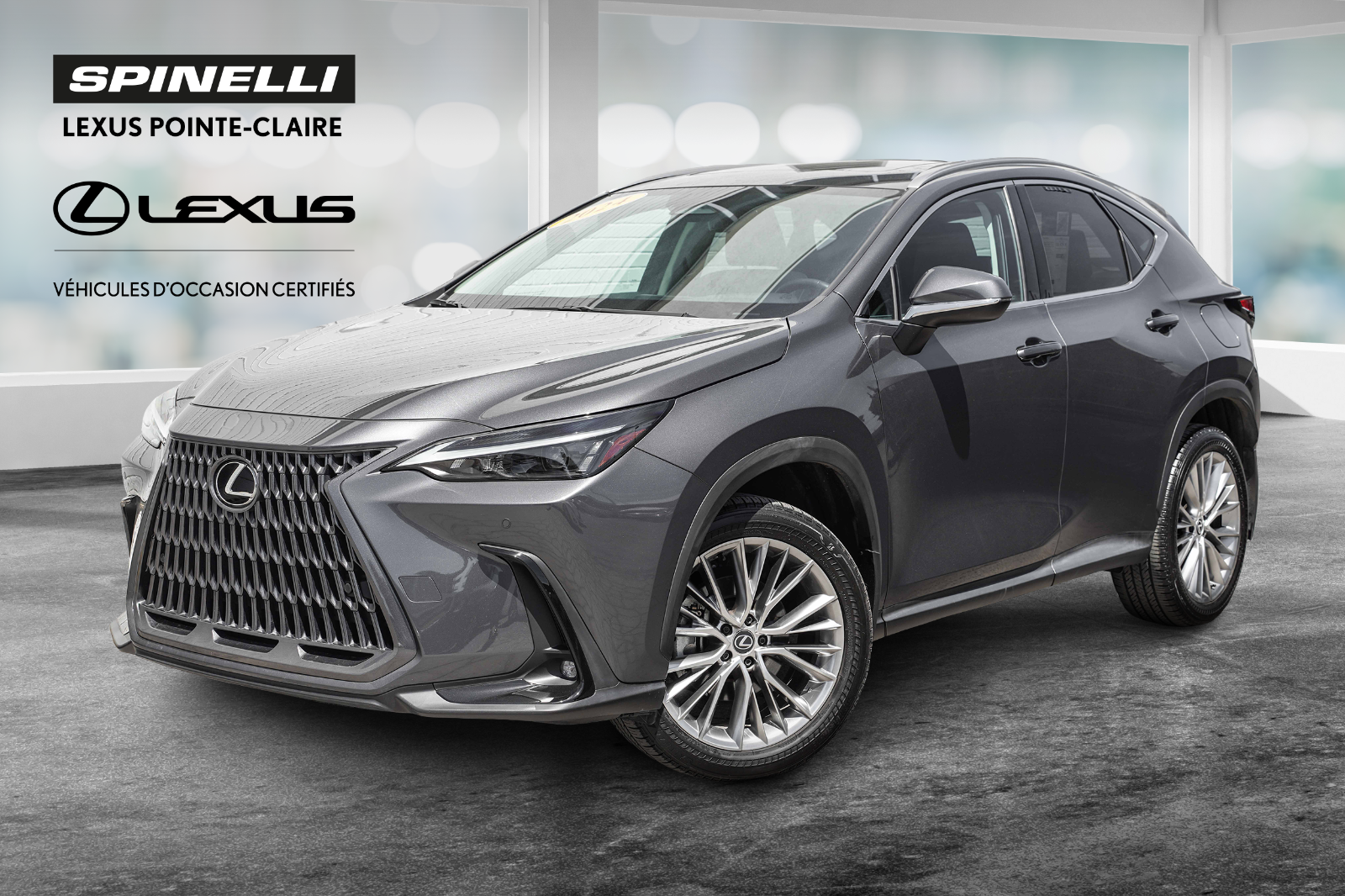 2024 Lexus NX **ULTRA PREMIUM AWD**