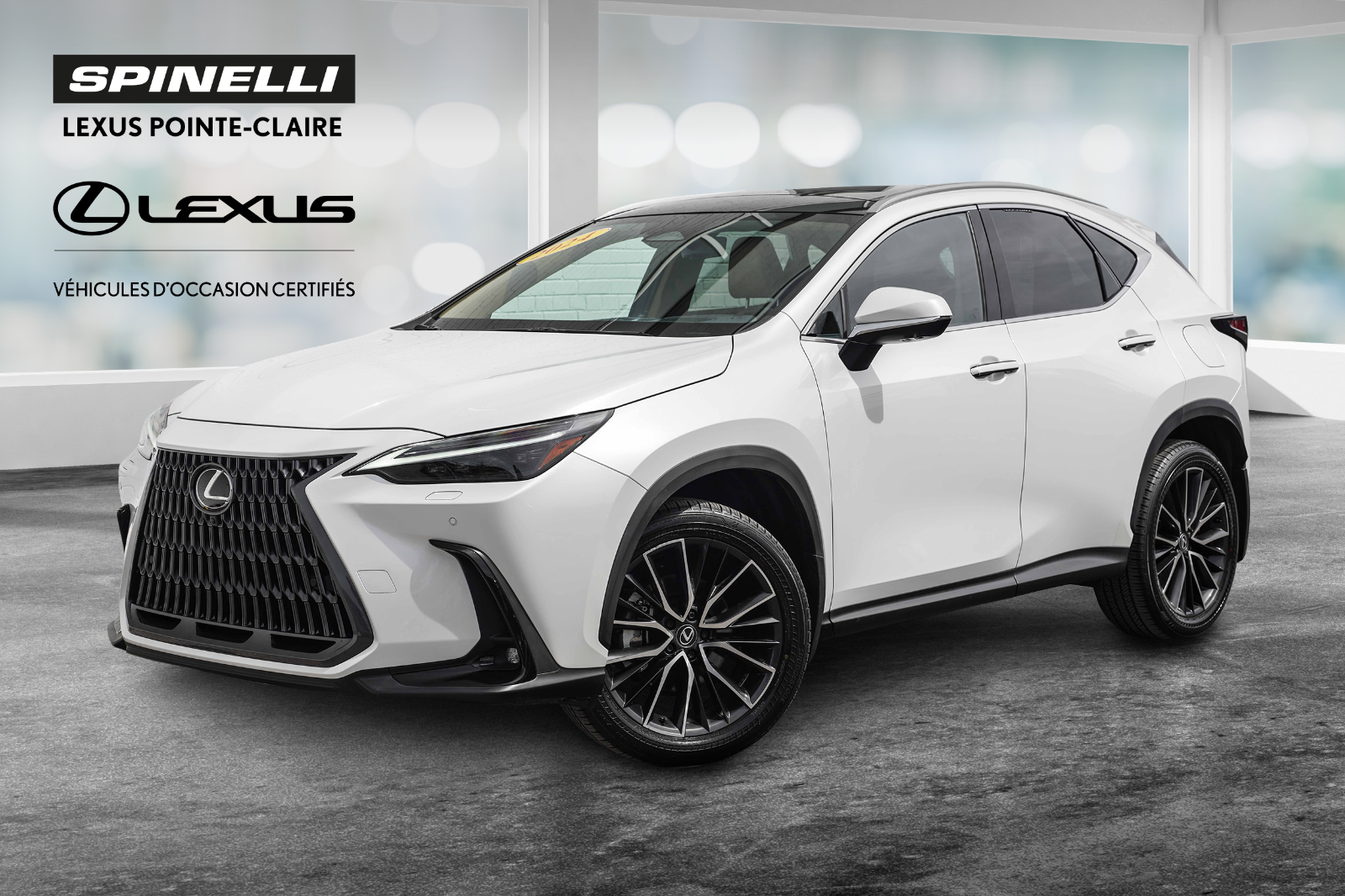 2024 Lexus NX **EXECUTIVE AWD**