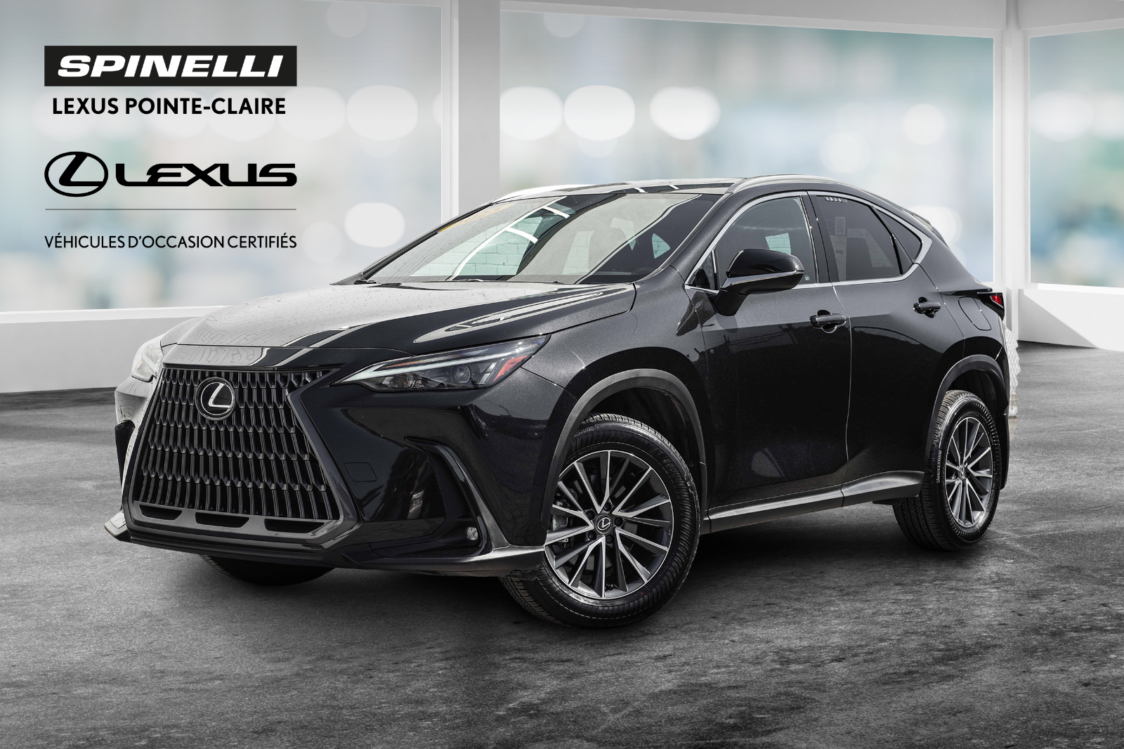 Lexus NX 350 **PREMIUM AWD** 2025