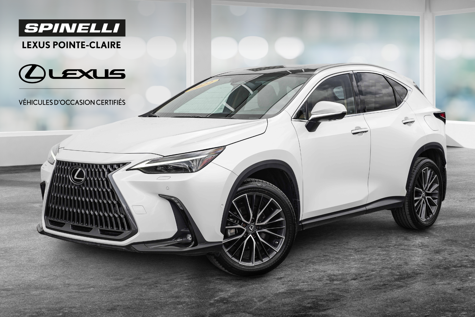 2022 Lexus NX **EXECUTIVE HYBRIDE**