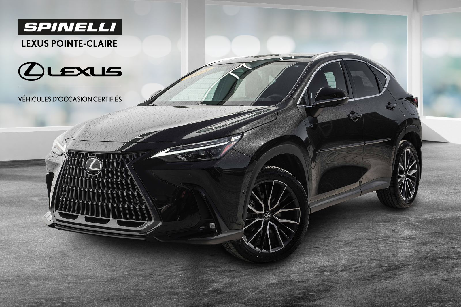 2024 Lexus NX **EXECUTIVE HYBRIDE**