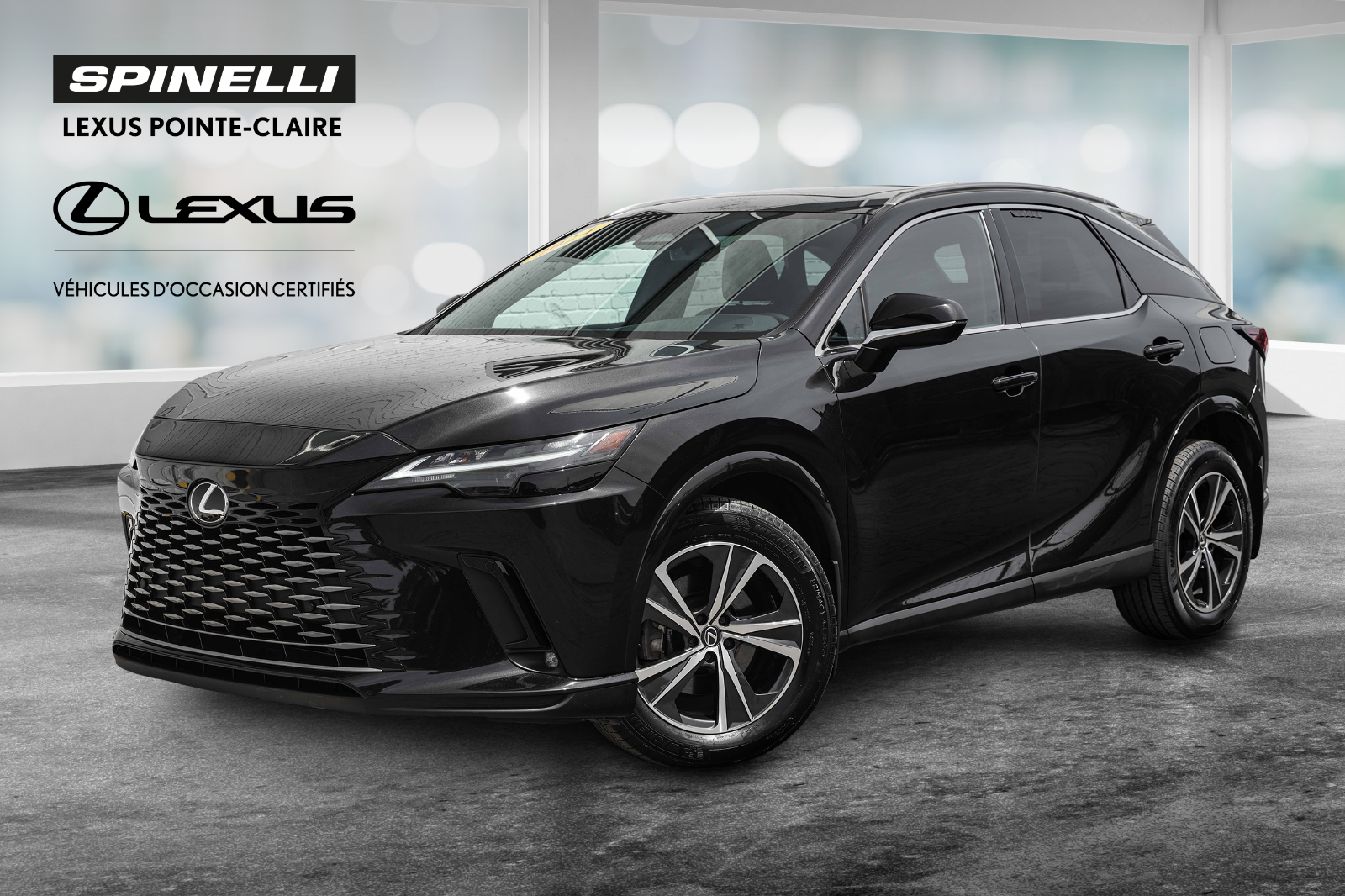 2024 Lexus RX **PREMIUM**