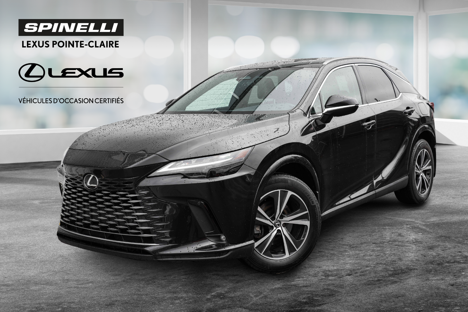 2024 Lexus RX **PREMIUM HYBRIDE**