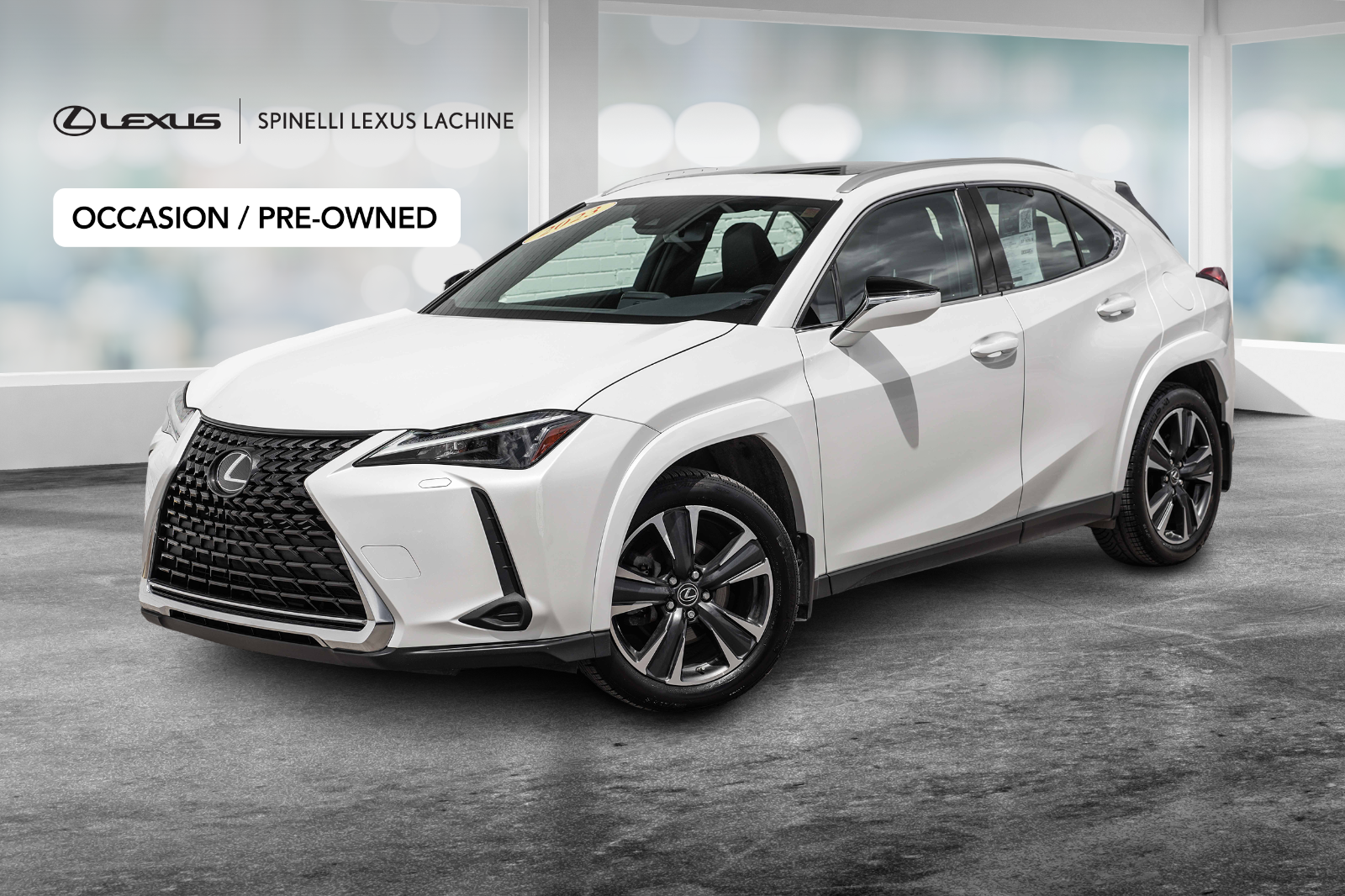 2023 Lexus UX **PREMIUM HYBRIDE AWD**