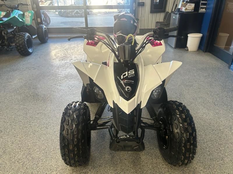 2019 Can Am DS90