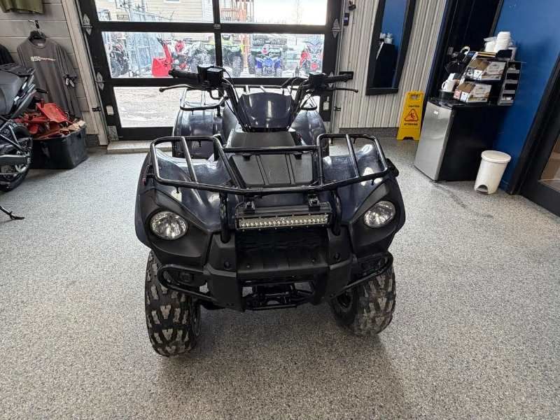 2024 Kawasaki BRUTE FORCE 300 2X4