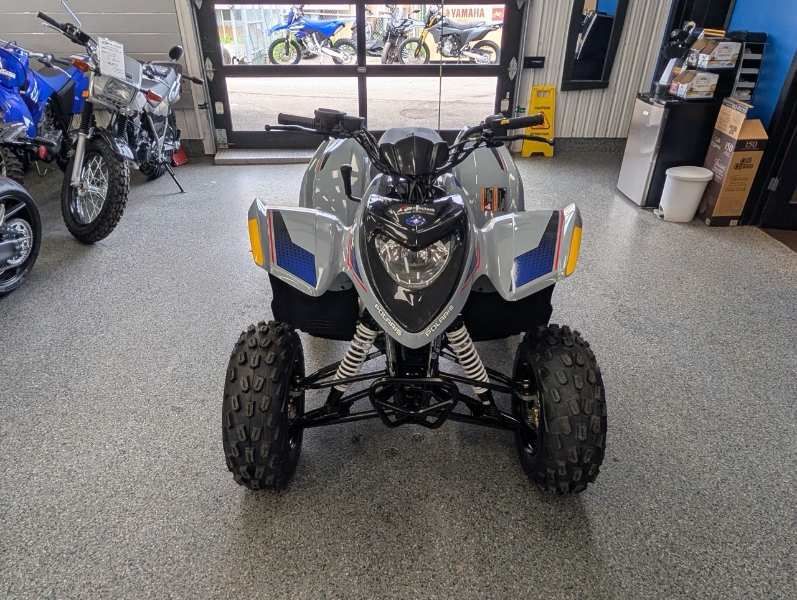 Polaris Phoenix 200  2025