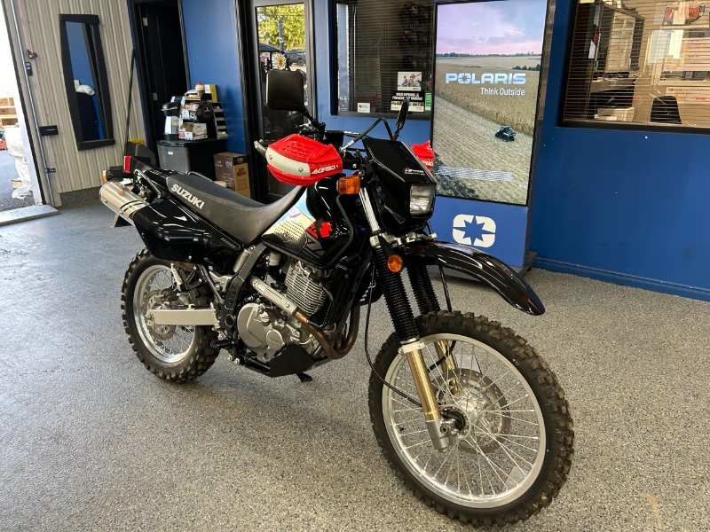 2019 Suzuki DR 650