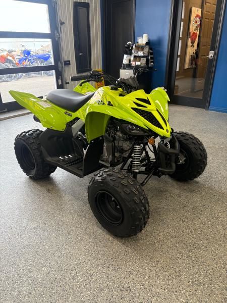 Yamaha RAPTOR 110 VERT  2026