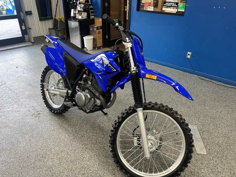 2023 Yamaha TTR 230