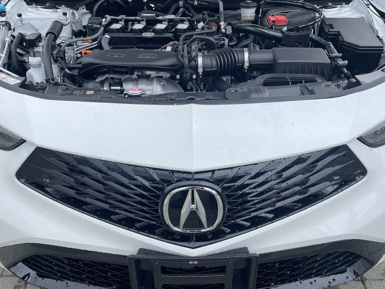 2025 Acura Integra in Markham, Ontario