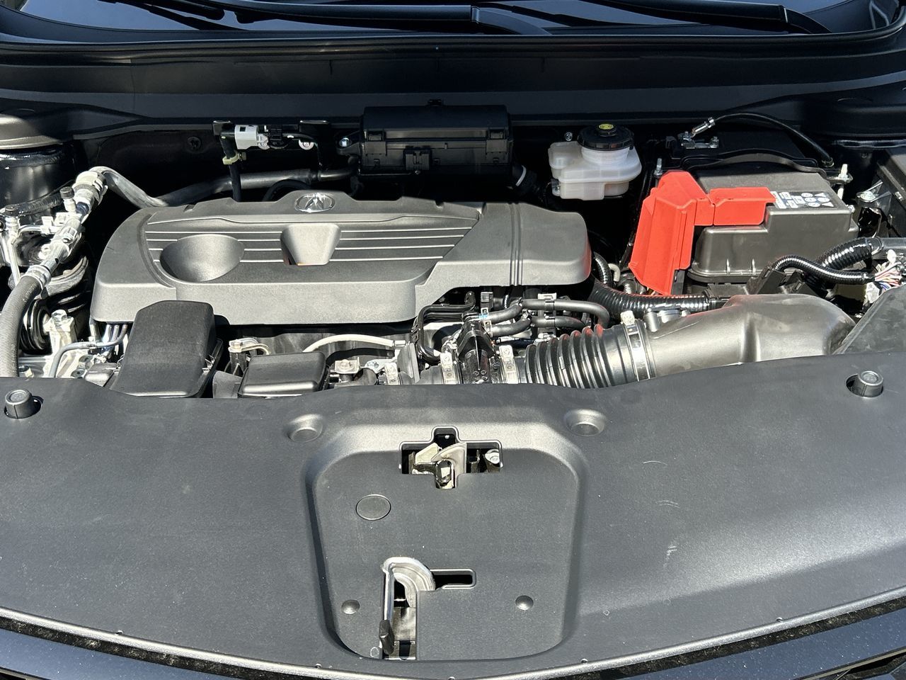 2026 Acura RDX in Markham, Ontario