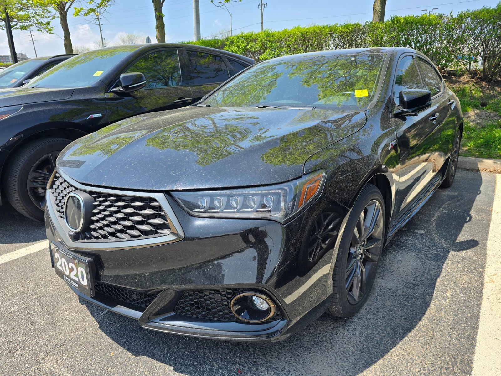 2020 Acura TLX in Markham, Ontario
