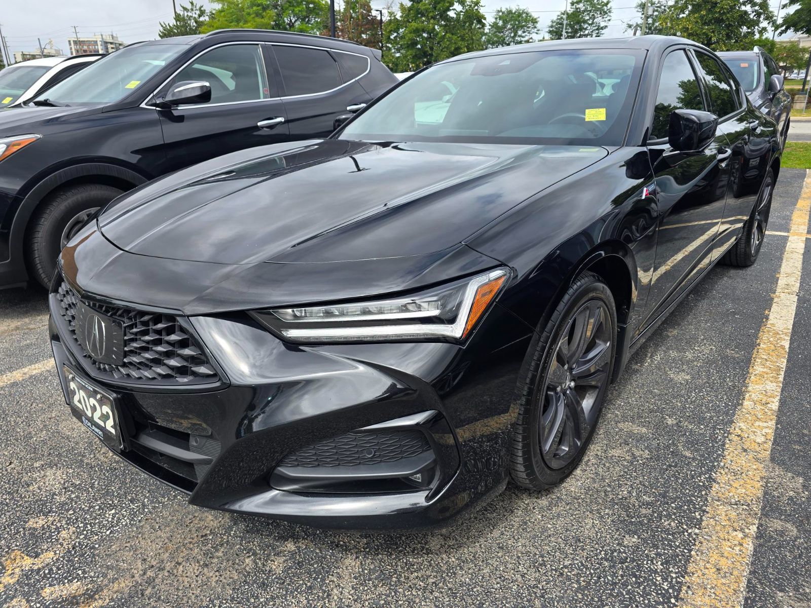 2022 Acura TLX