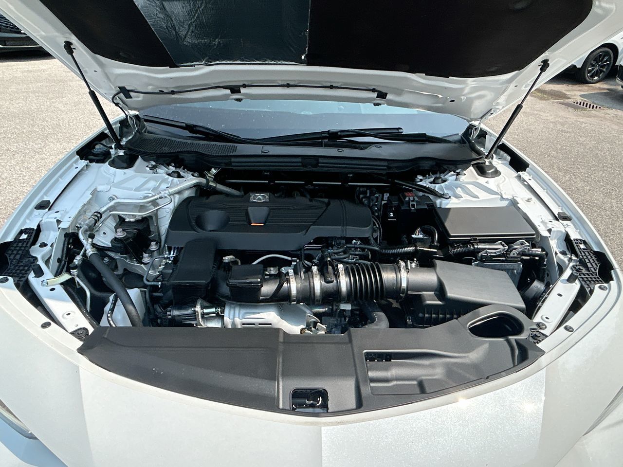 2025 Acura TLX in Markham, Ontario