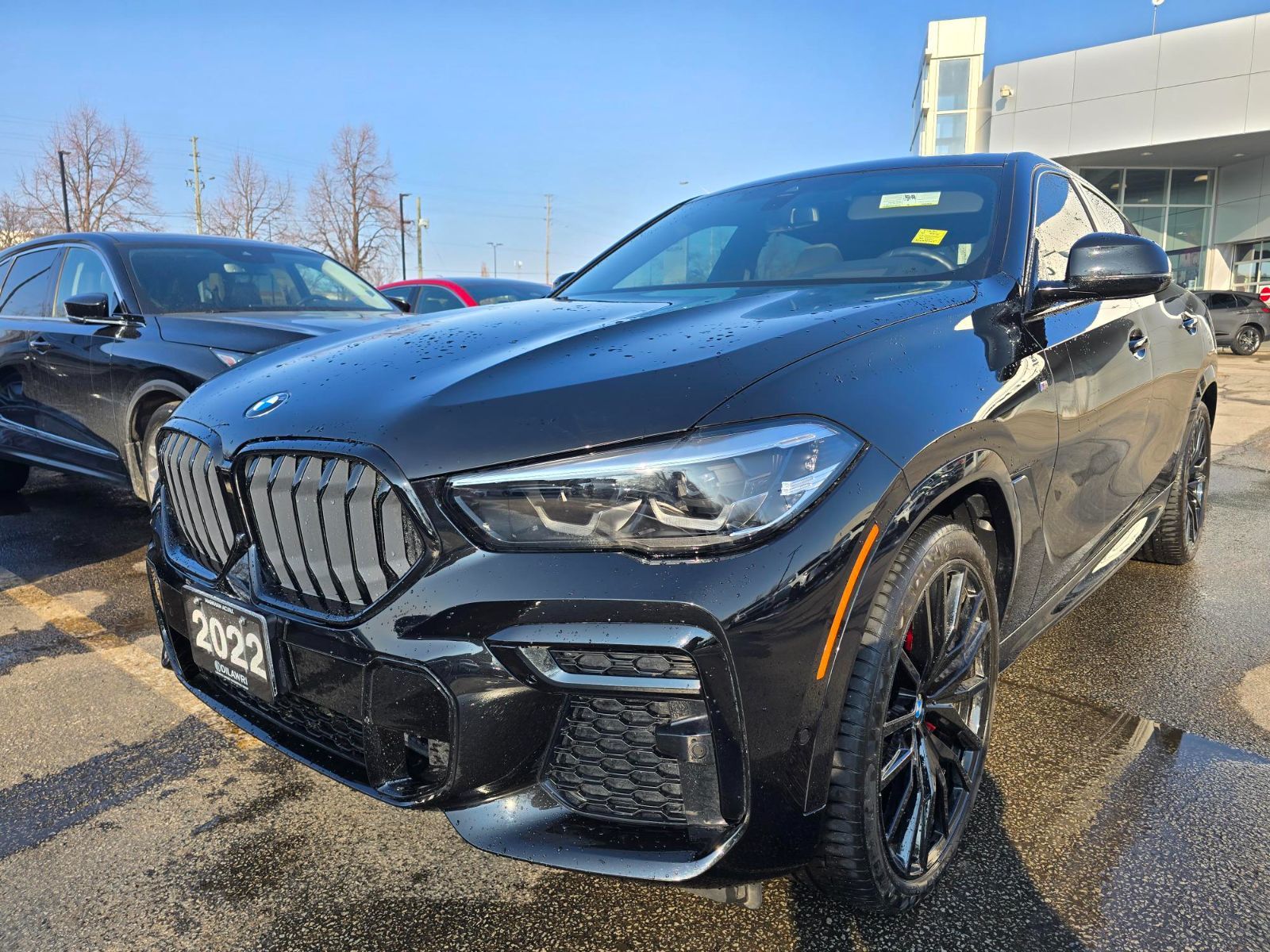 2022 BMW X6