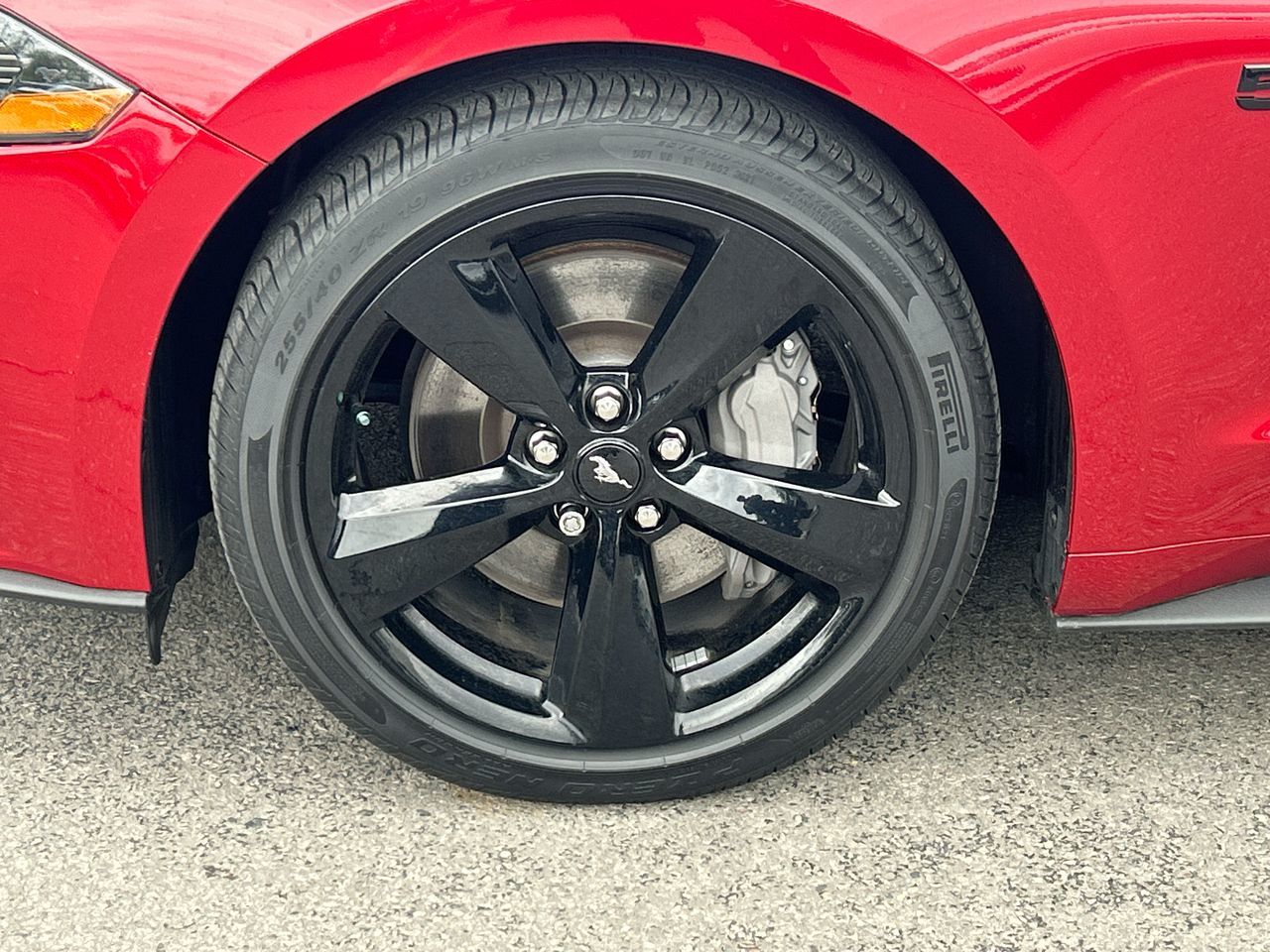 2022 Ford Mustang in Markham, Ontario